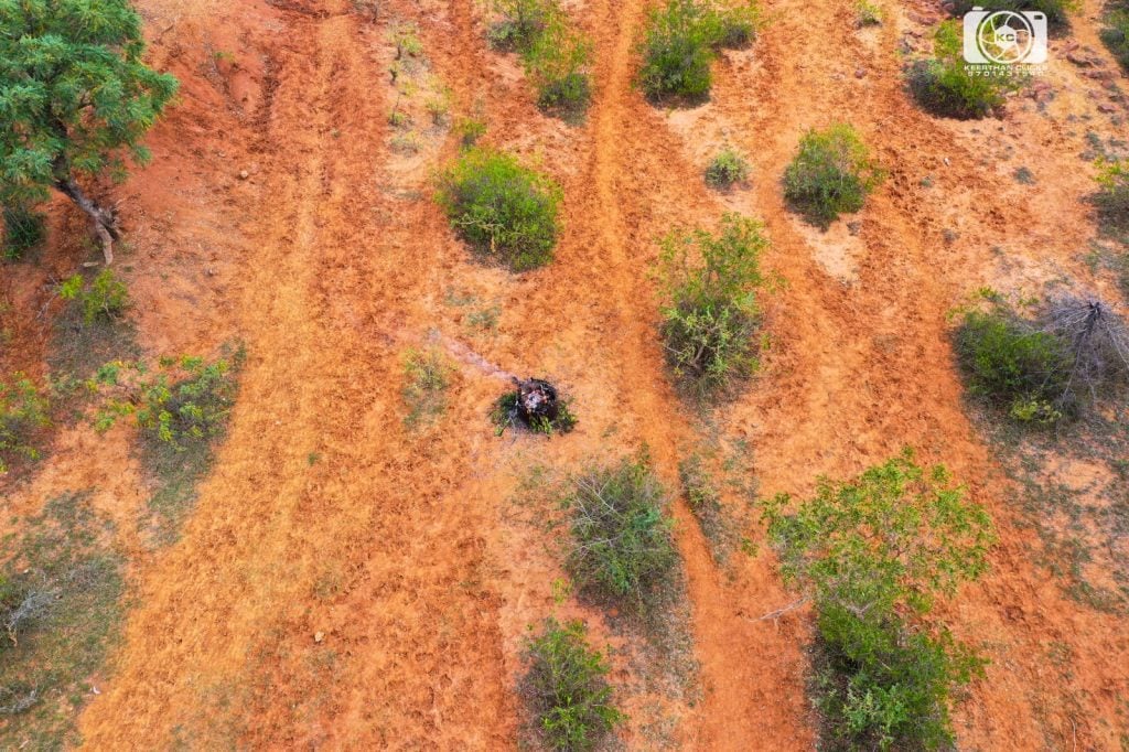 Footage from a drone above a fire.